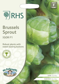 【種子】Mr.Fothergill's Seeds Royal Horticultural Society Brussels Sprout IGOR F1 RHS ブリュッセル・スプラウト イゴール F1 ミスター・フォザーギルズシード