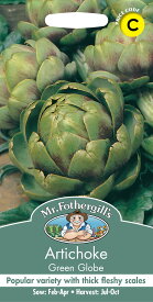 【種子】Mr.Fothergill's Seeds Artichoke Green Globe アーティチョーク グリーン・グローブ ミスター・フォザーギルズシード