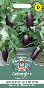 yqzMr.Fothergill's Seeds Aubergine Jewel Jet F1 I[oW[i֎qj WGEWFbgEF1 ~X^[EtHU[MYV[h