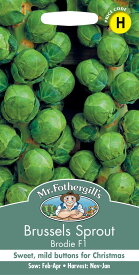【種子】Mr.Fothergill's SeedsBrussels Sprout Brodieブリュッセルズ・スプラウト（芽キャベツ） ブロディ