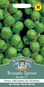 yqzMr.Fothergill's Seeds Brussels Sprout Brodie ubZYEXvEgiLxcj ufB ~X^[EtHU[MYV[h