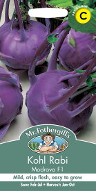 【種子】Mr.Fothergill's Seeds Kohl Rabi Modrava F1 コール・ラビ・モドラヴァ・F1 ミスター・フォザーギルズシード