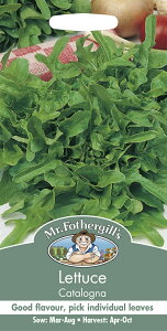 yqzMr.Fothergill's Seeds Lettuce Catalogna ^XEJ^Oi ~X^[EtHU[MYV[h
