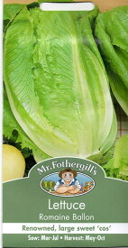 【種子】Mr.Fothergill's Seeds Lettuce Romaine Ballon レタス ロメイン・バルーン ミスター・フォザーギルズシード