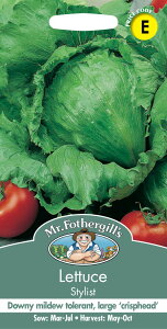 yqzMr.Fothergill's Seeds Lettuce Stylist ^X X^CXg ~X^[EtHU[MYV[h