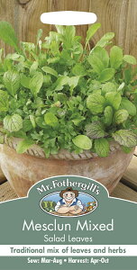 yqzMr.Fothergill's Seeds Mesclun Mixed XNE~bNX ~X^[EtHU[MYV[h