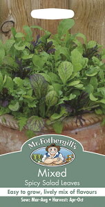 yqzMr.Fothergill's Seeds Mixed Spicy Salad Leaves ~bNX XpCV[ T_ [uX ~X^[EtHU[MYV[h