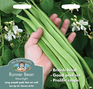 yqzMr.Fothergill's Seeds Runner Bean Moonlight i[Er[ [Cg ~X^[EtHU[MYV[h