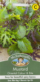 【種子】Mr.Fothergill's Seeds Mustard Oriental Colour ＆ Bite マスタード オリエンタル・カラー＆バイト ミスター・フォザーギルズシード