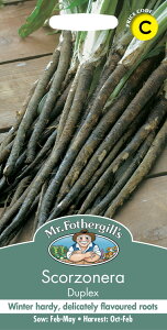 【種子】Mr.Fothergill's Seeds Scorzonera Duplex スコルツォネラ デュプレックス(西洋黒ゴボウ)ミスター・フォザーギルズシード