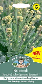 【種子】Mr.Fothergill's Seeds Broccoli (Sprouting) White Sprouting Burbank F1 ブロッコリー ホワイト・スプラウト・バーバンク ミスター・フォザーギルズシード