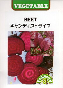 ؎q BEET(r[c) LfBXgCv cq̃^l