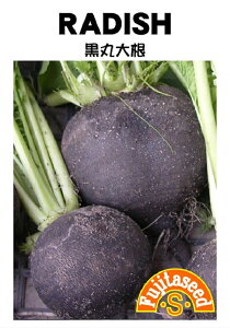 yqzRADISH ۑ卪 cq̃^l