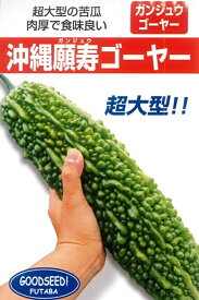 野菜種子 沖縄願寿ゴーヤー フタバ種苗のタネ