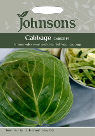 【種子】Johnsons Seeds Cabbage Cabbice F1 キャベッジ キャビス F1 ジョンソンズシード