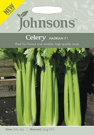 【種子】Johnsons Seeds Celery HADRIAN F1 セロリー ハドリアン・F1 ジョンソンズシード