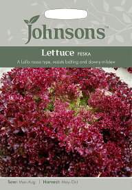 【種子】Johnsons Seeds Lettuce Feska レタス フェスカ ジョンソンズシード
