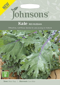 yqzJohnsons Seeds Kale RED RUSSIAN P[ bhEVA W\YV[h