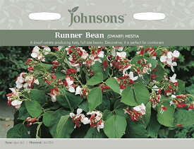 【種子】Johnsons Seeds Runner Bean (DWARF) HESTIA ランナー・ビーン・ヘスティア ジョンソンズシード