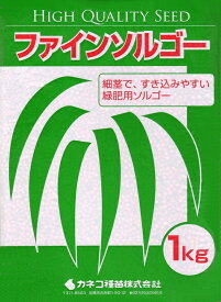 【種子】ファインソルゴー 1kg カネコ種苗のタネ