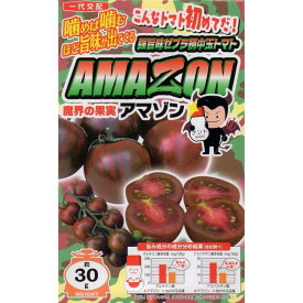 【種子】強旨味ゼブラ柄中玉トマト AMAZON（アマゾン） ナント種苗のタネ