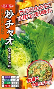 yqz񌋋^X u`I(ႨႨ) igc̃^l