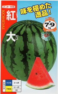 ��؎�q �X�C�J �g�� �i���g��c�̃^�l