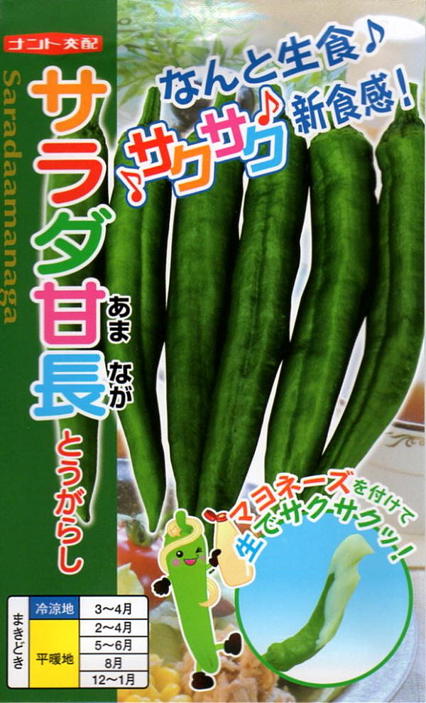 92円 【希少！！】 唐辛子の種 伏見甘長 小袋 野菜の種