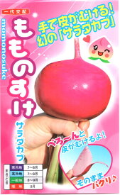 野菜種子 サラダカブ もものすけ ナント種苗のタネ
