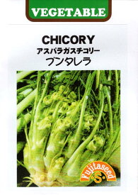 【種子】CHICORY アスパラガスチコリー プンタレラ 藤田種子のタネ