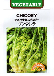 ��؎�q CHICORY �A�X�p���K�X�`�R���[ �v���^���� ���c��q�̃^�l