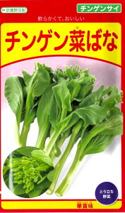 q `QTC`Q؂΂ ؏ܖi͂Ȃ傤݁jc̃^l