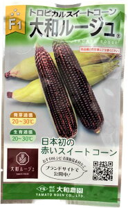 ��؎�q �g���s�J���X�C�[�g�R�[�� F1��a���[�W�� 1dl ��a�_���̃^�l