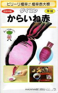 【種子】松島交配 辛味大根からいね(赤)渡辺採種場のタネ