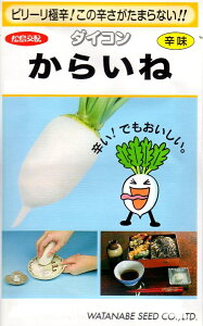 yqzz h卪炢ˁijnӍ̎