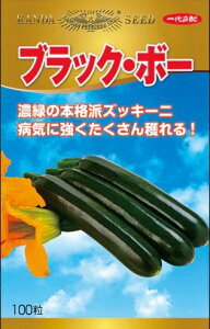 ؎q YbL[j ubNE{[ 100 _c_̃^l y񂹕iz