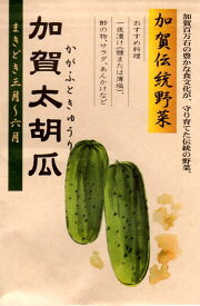 【種子】加賀伝統野菜 加賀太胡瓜（かがふときゅうり）松下種苗店のタネ