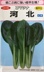 yqzR}ci ͖k nӍ̎