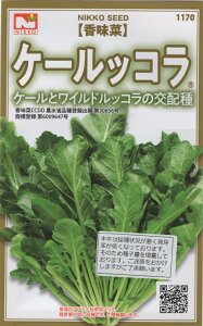 yqz P[bR c̃^l _ѐYȕio^o 30656 Wo^ 6009647