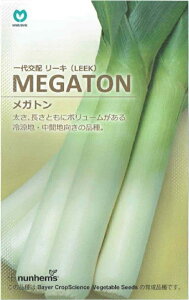 ��؎�q ����zLEEK MEGATON ���[�L ���K�g�� �ێ�̃^�l