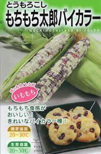 ��؎�q �Ƃ����낱�� �����������Y�o�C�J���[ ��a�_���̃^�l