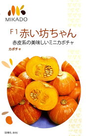 野菜種子 カボチャ F1赤い坊ちゃん ヴィルモランみかどのタネ