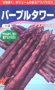 ��؎�q �A�X�p���K�X �p�[�v���^���[ �n�Ӕ_���̃^�l