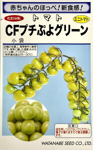 ��؎�q �~�j�g�}�g CF�v�`�Ղ�O���[�� �n�Ӎ̎��̃^�l