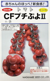 野菜種子 ミニトマト CFプチぷよ2 渡辺採種場のタネ