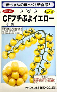 ��؎�q �~�j�g�}�g CF�v�`�Ղ�C�G���[ �n�Ӎ̎��̃^�l