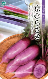 野菜種子 宇治交配 京むらさき だいこん 丸種のタネ