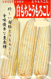 白 とうもろこし 種の人気商品 通販 価格比較 価格 Com