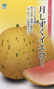 ��؎�q �F����z ������ ���������C�G���[ �ێ�̃^�l