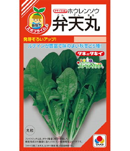 ؎q zE\E ٓV ^LCc̃^l